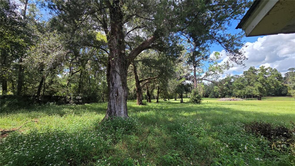 509 N COURT STREET, BRONSON, FL — photo 3 of 30