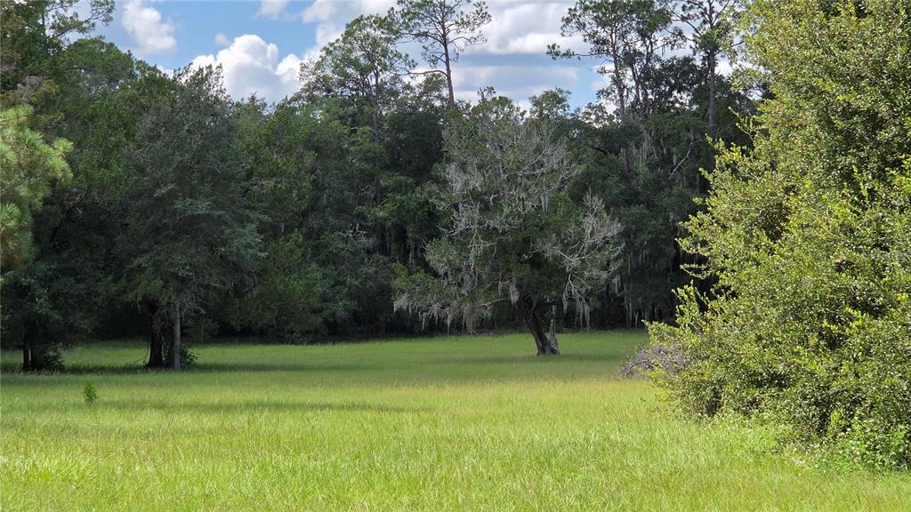 509 N COURT STREET, BRONSON, FL — photo 4 of 30