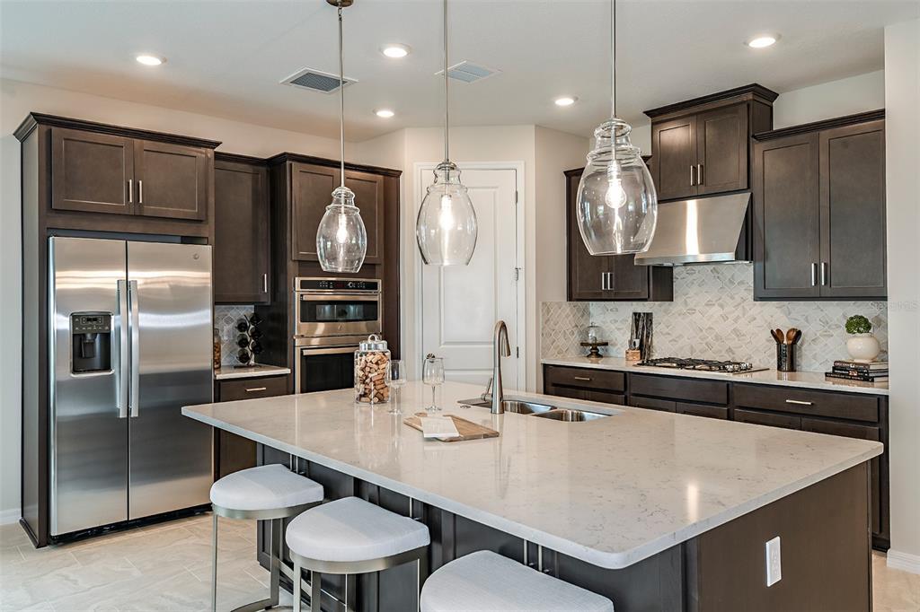 A modern kitchen features dark wood cabinets, stainless steel appliances, and a large quartz island — 712 SKY SHADE DRIVE, APOLLO BEACH, FL