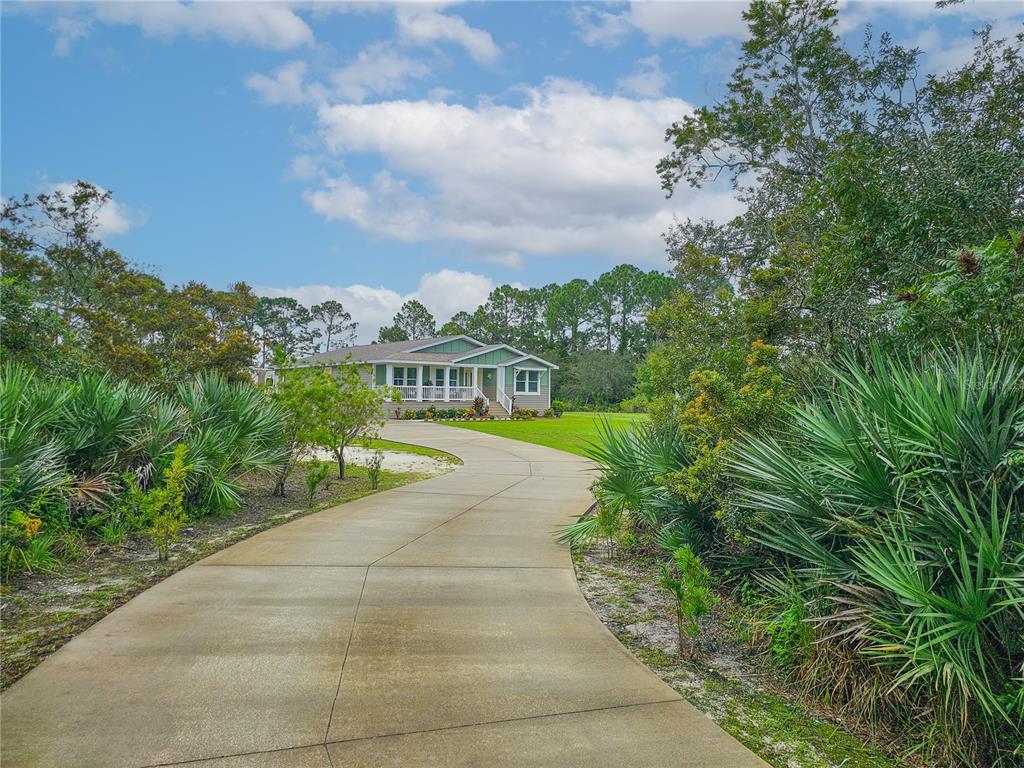 A concrete driveway leads to a single-story house surrounded by trees and palm plants — 875 VOLCO ROAD, EDGEWATER, FL