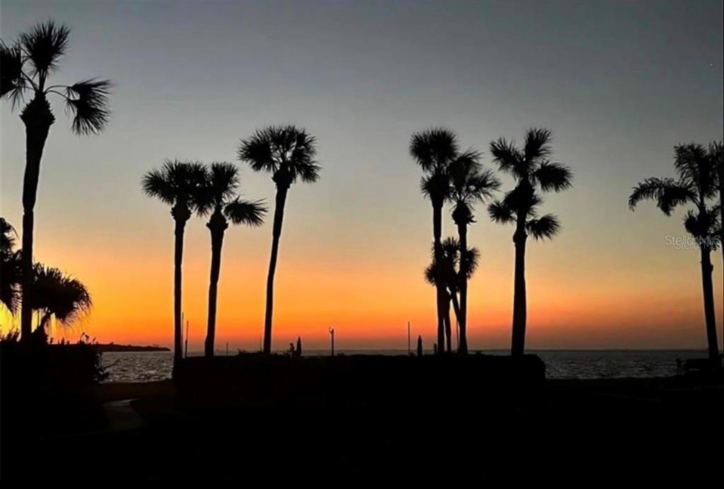Silhouetted palm trees stand against a vibrant orange and blue sunset over the water — 7520 SUNSHINE SKYWAY LANE S UNIT T18, ST PETERSBURG, FL