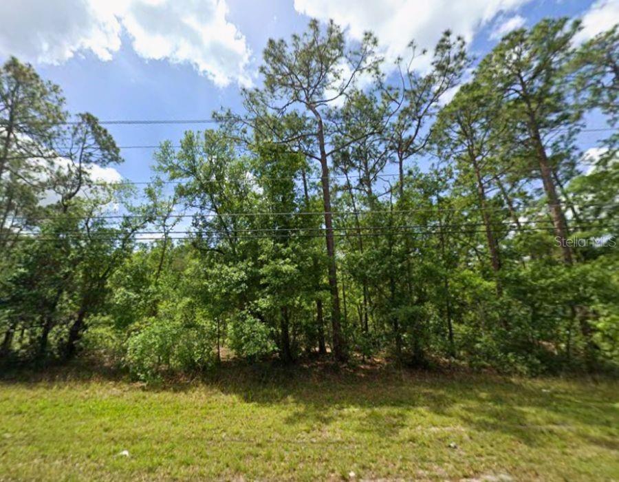 CREEKWOOD RUN, LAKELAND, FL — photo 2 of 16