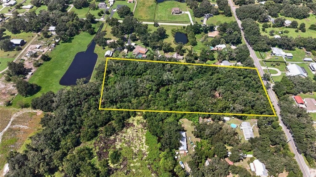 00 W KNIGHTS GRIFFIN ROAD, PLANT CITY, FL — photo 3 of 30