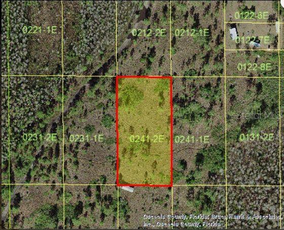 An aerial map view shows a rectangular plot of land highlighted in red — HOLOPAW GROVES ROAD, ST CLOUD, FL