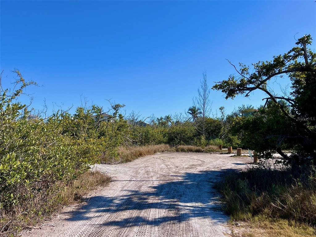 A dirt path leads through dense coastal vegetation toward a clear blue sky — 9574 BUCCANEER TRAIL, PLACIDA, FL
