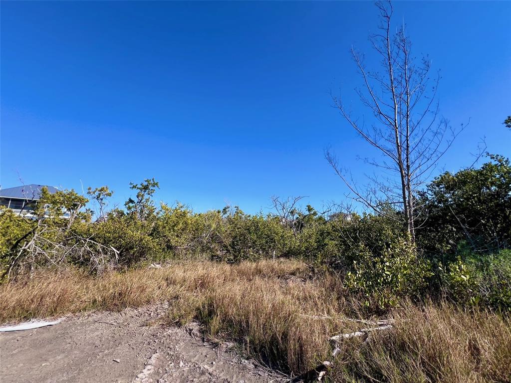 A vacant, overgrown lot with tall grass and shrubs under a clear blue sky — 9574 BUCCANEER TRAIL, PLACIDA, FL
