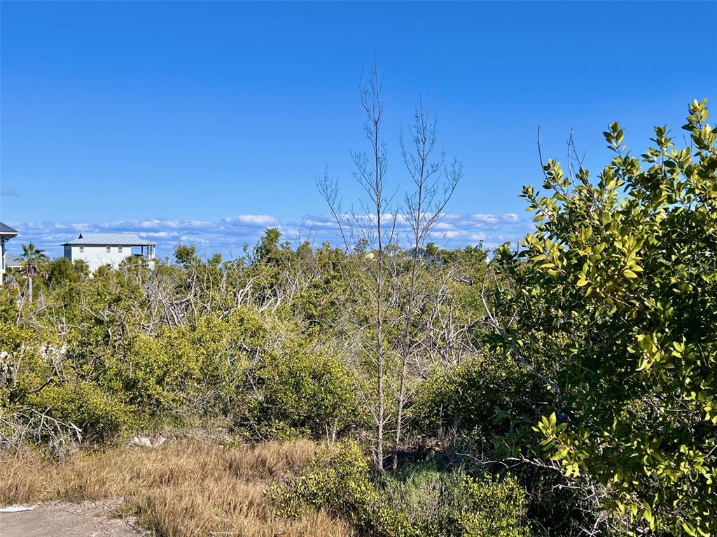 A view of a vacant, brush-covered lot with a house visible in the distance — 9574 BUCCANEER TRAIL, PLACIDA, FL