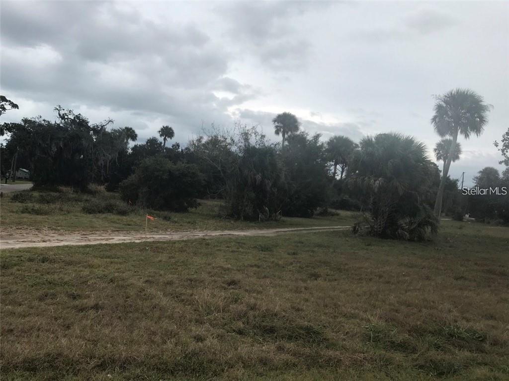 A grassy, undeveloped lot features scattered palm trees and a dirt path under a cloudy sky — 106 LAMONT STREET, EDGEWATER, FL