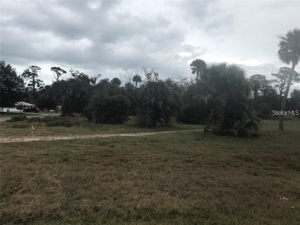 A grassy, undeveloped lot features scattered trees, palm bushes, and an orange survey marker — 106 LAMONT STREET, EDGEWATER, FL