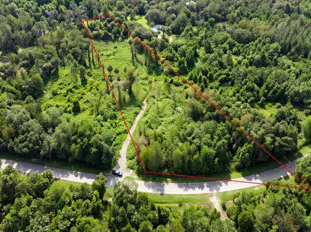 An aerial view shows a wooded, triangular-shaped plot of land bordered by a paved road — 00 TIMBERLANE ROAD, LAKE WALES, FL