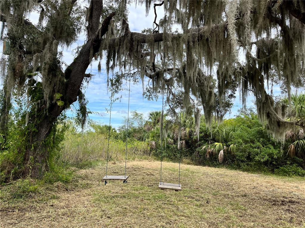Two wooden swings hang from a large oak tree draped in Spanish moss — 6715 16TH AVENUE E, PALMETTO, FL