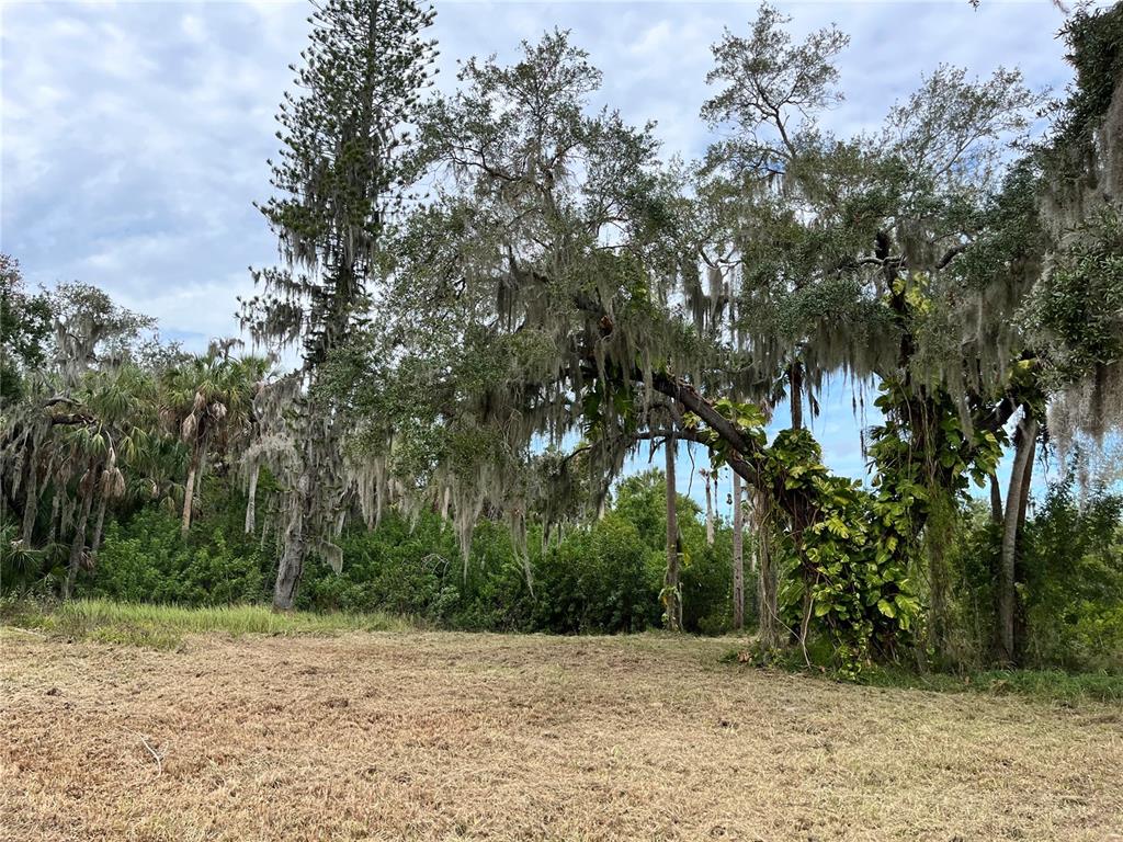 A grassy, cleared lot features large, moss-draped trees and dense vegetation in the background — 6715 16TH AVENUE E, PALMETTO, FL