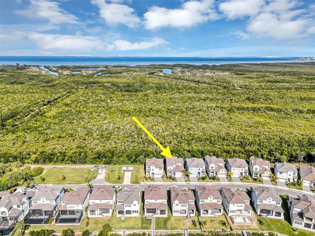 An aerial view shows a row of suburban houses bordering a large area of dense vegetation — 1115 SEAGRAPE DRIVE, RUSKIN, FL