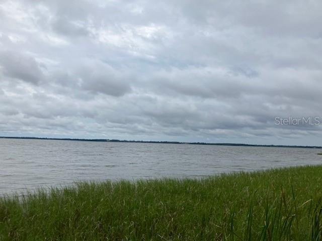 A view of a large lake with tall green grasses in the foreground under cloudy skies — MOCKINGBIRD LANE, FRUITLAND PARK, FL