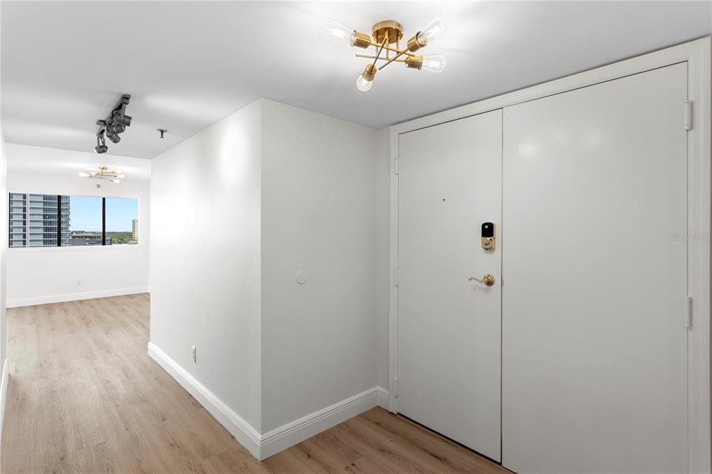 An entryway with light wood flooring, white walls, and a modern gold ceiling light fixture — 3301 BAYSHORE BOULEVARD UNIT 1101E, TAMPA, FL