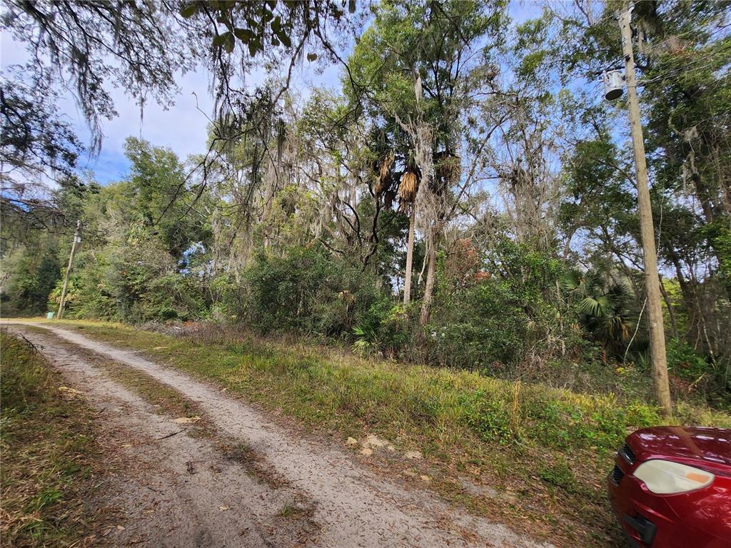 A dirt road leads past a wooded lot with tall trees and a utility pole — TBD NE 164TH PLACE, CITRA, FL