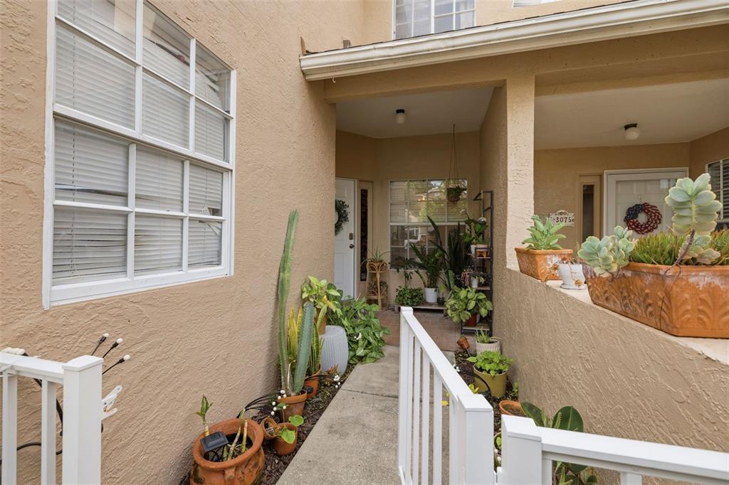 A concrete walkway leads to the front entrance of a tan stucco home with plants — 3073 BRANCH DRIVE, CLEARWATER, FL