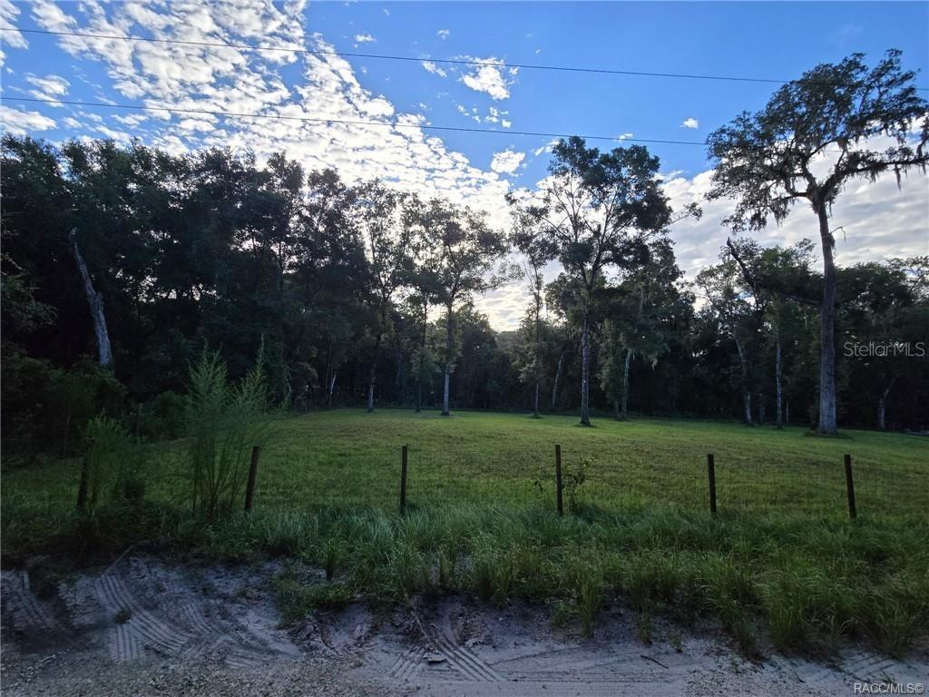 A grassy, fenced lot is bordered by a dense line of mature trees — 4689 & 4713 S IRONWOOD POINT, INVERNESS, FL