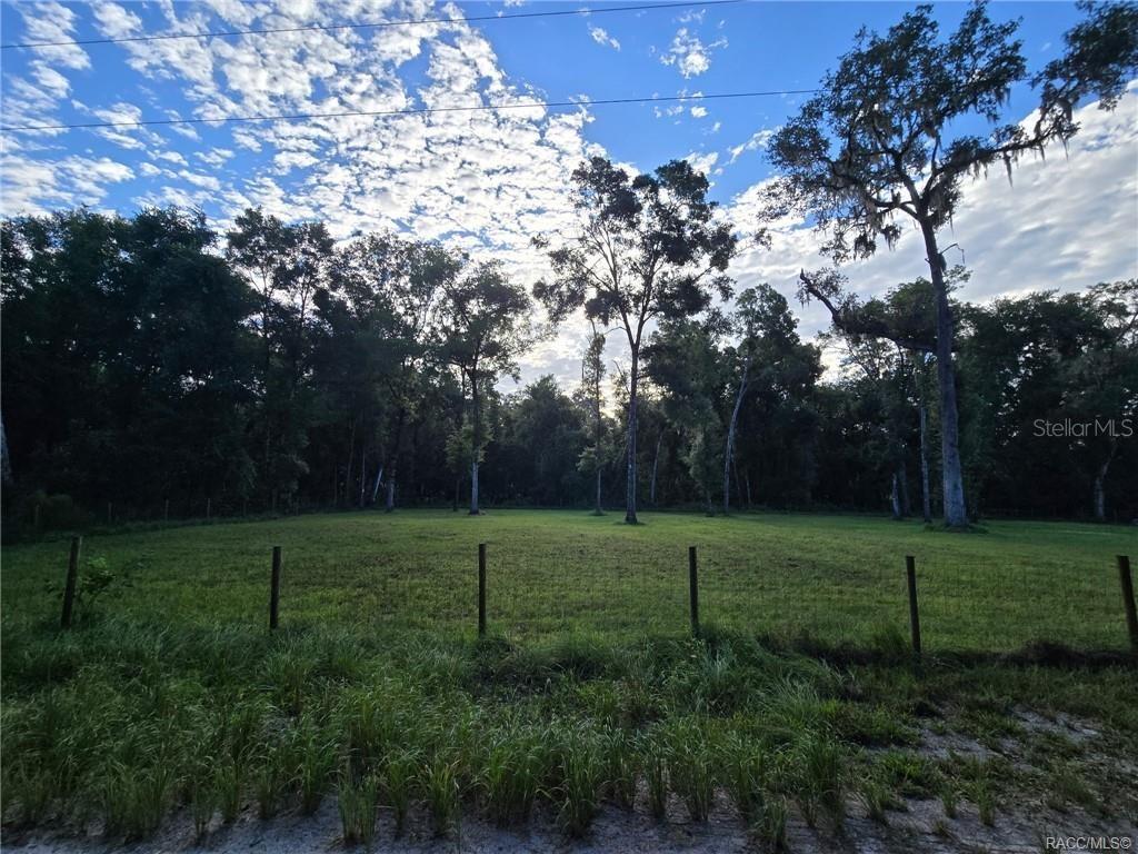 A grassy, fenced lot is bordered by a dense line of mature trees — 4689 & 4713 S IRONWOOD POINT, INVERNESS, FL