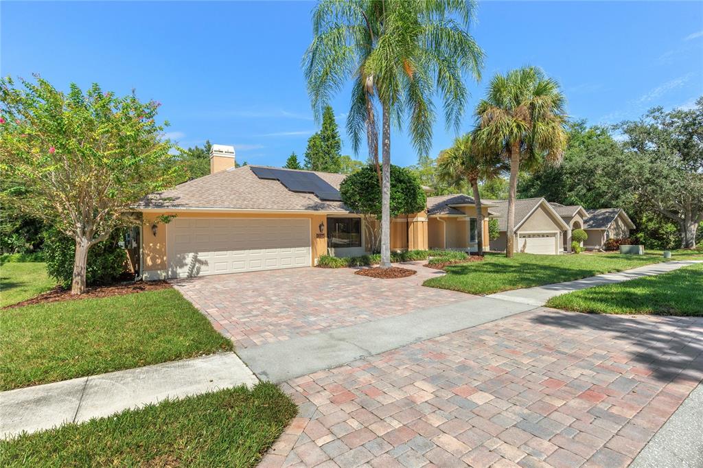 3275 COBBS DRIVE, PALM HARBOR, FL — photo 3 of 59