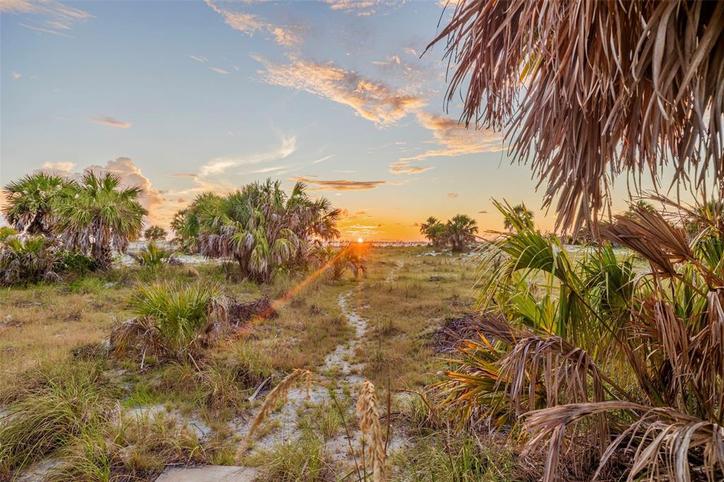 A sandy path leads through coastal vegetation toward a sunset over the beach — 1024 ELDORADO AVENUE, CLEARWATER BEACH, FL