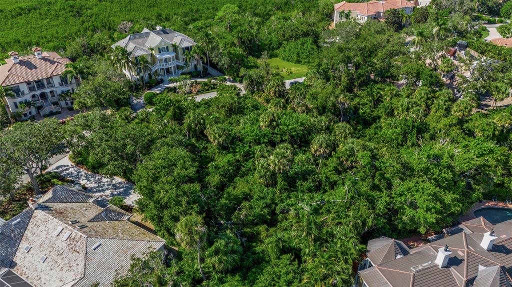 An aerial view shows a dense, wooded lot situated between several large residential homes — 143 OSPREY POINT DRIVE, OSPREY, FL