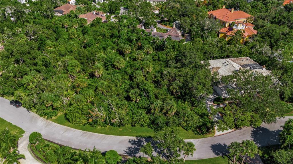 An aerial view shows a wooded residential lot situated between two large houses and roads — 143 OSPREY POINT DRIVE, OSPREY, FL