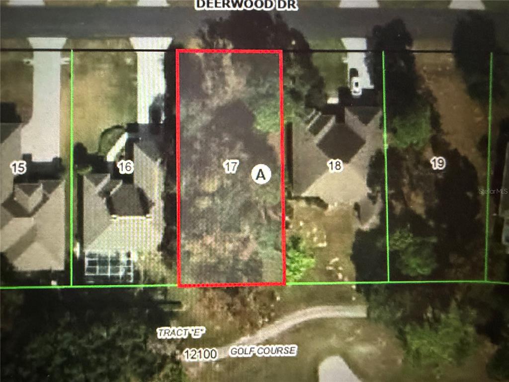 36 DEERWOOD DRIVE, HOMOSASSA, FL — photo 3 of 21