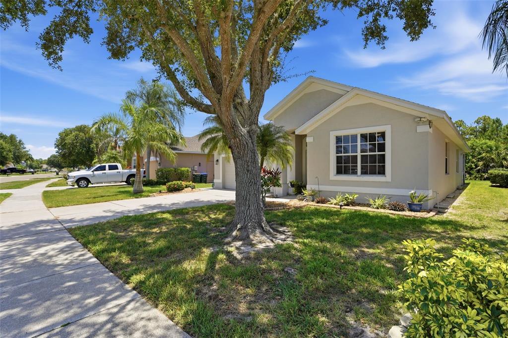A single-story house with a beige exterior, a large tree, and a driveway in front — 1796 SCARLETT AVENUE, NORTH PORT, FL