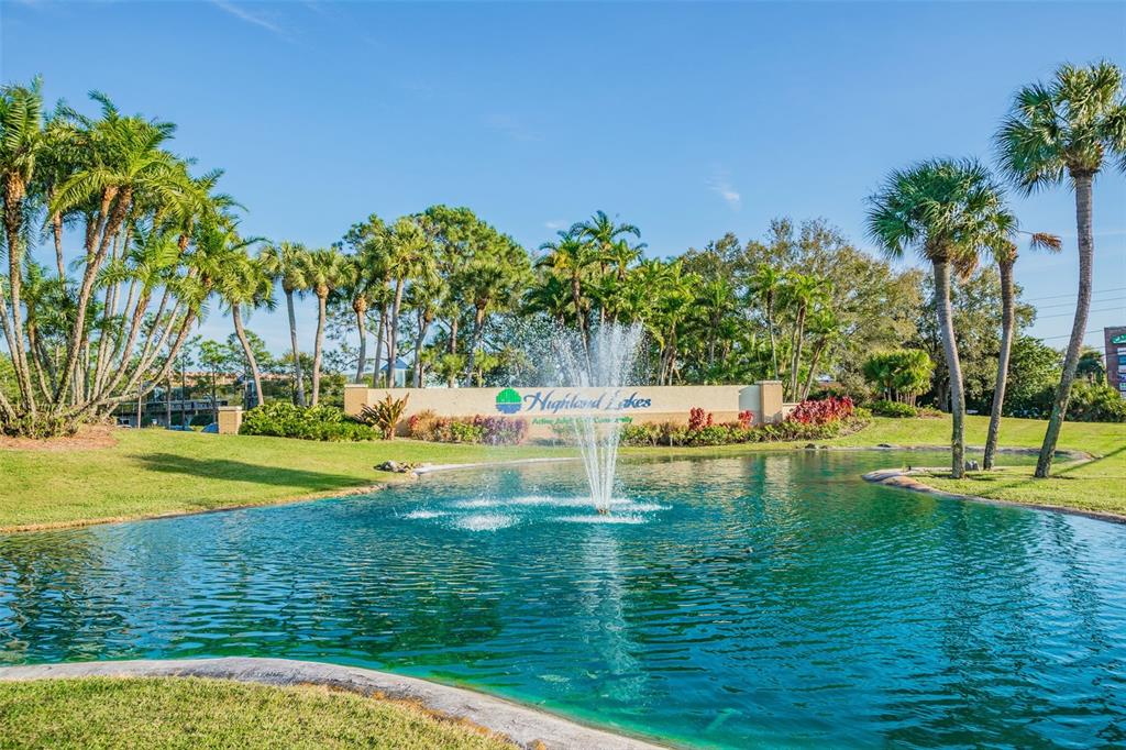 1382 GLENGARRY DRIVE, PALM HARBOR, FL — photo 2 of 40