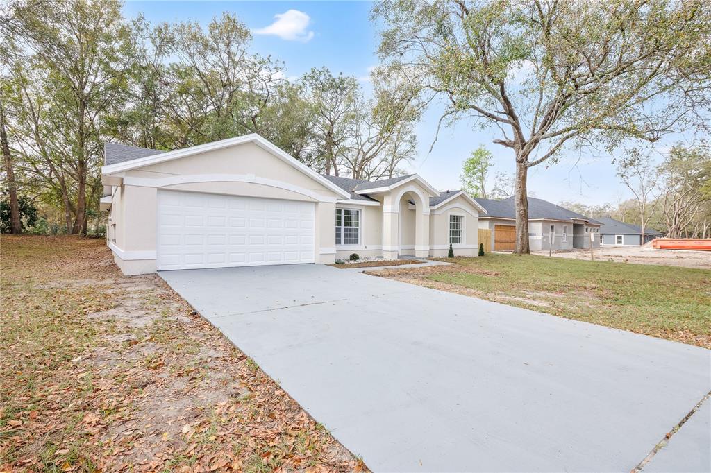 A single-story house with a white stucco exterior, a two-car garage, and a concrete driveway — 1120 DUNBRIDGE STREET, APOPKA, FL