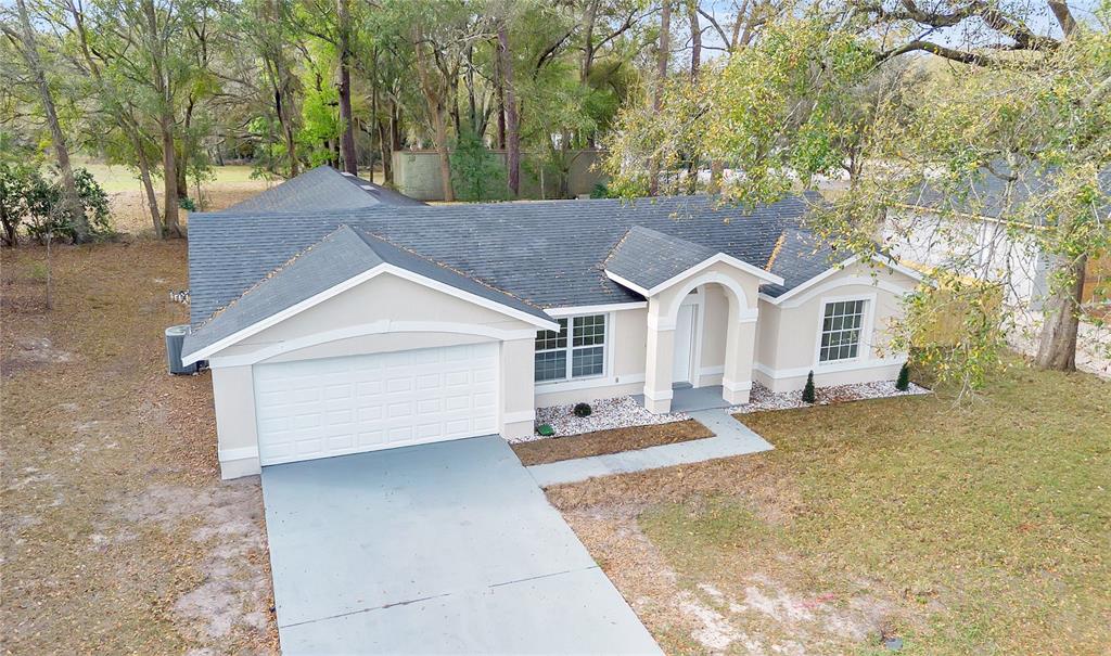 An aerial view of a single-story house with a garage, driveway, and surrounding trees — 1120 DUNBRIDGE STREET, APOPKA, FL