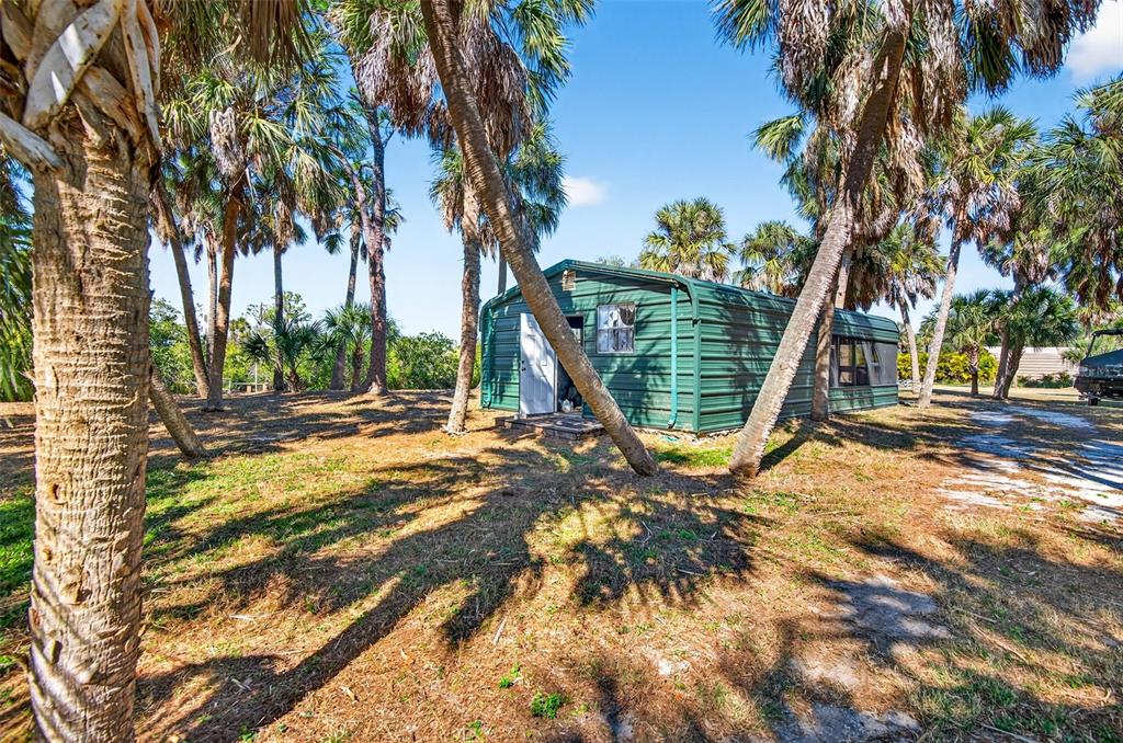 A green metal shed stands in a grassy yard surrounded by numerous palm trees — 2619 RIVER BEND DRIVE, RUSKIN, FL