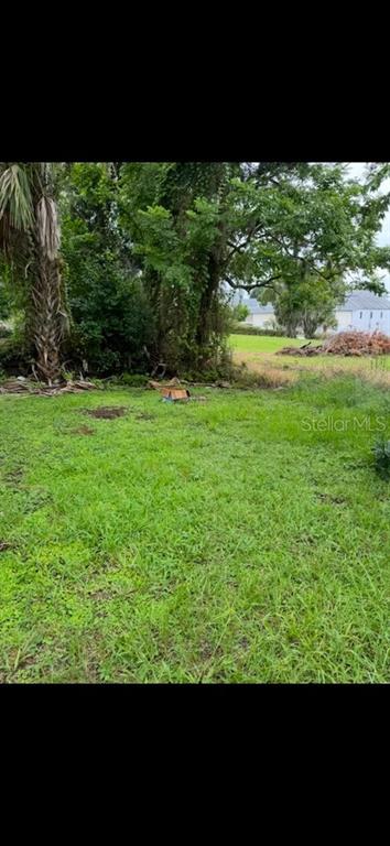 124 N 10TH STREET, HAINES CITY, FL — photo 4 of 16
