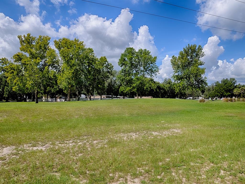 A large, grassy, open lot features scattered mature trees under a blue, cloudy sky — 4438 RIVER RIDGE DRIVE, LEESBURG, FL