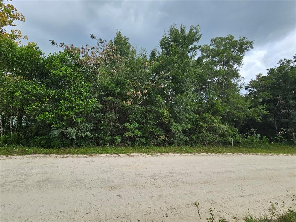 0000 NE 141ST AVENUE, WILLISTON, FL — photo 3 of 6