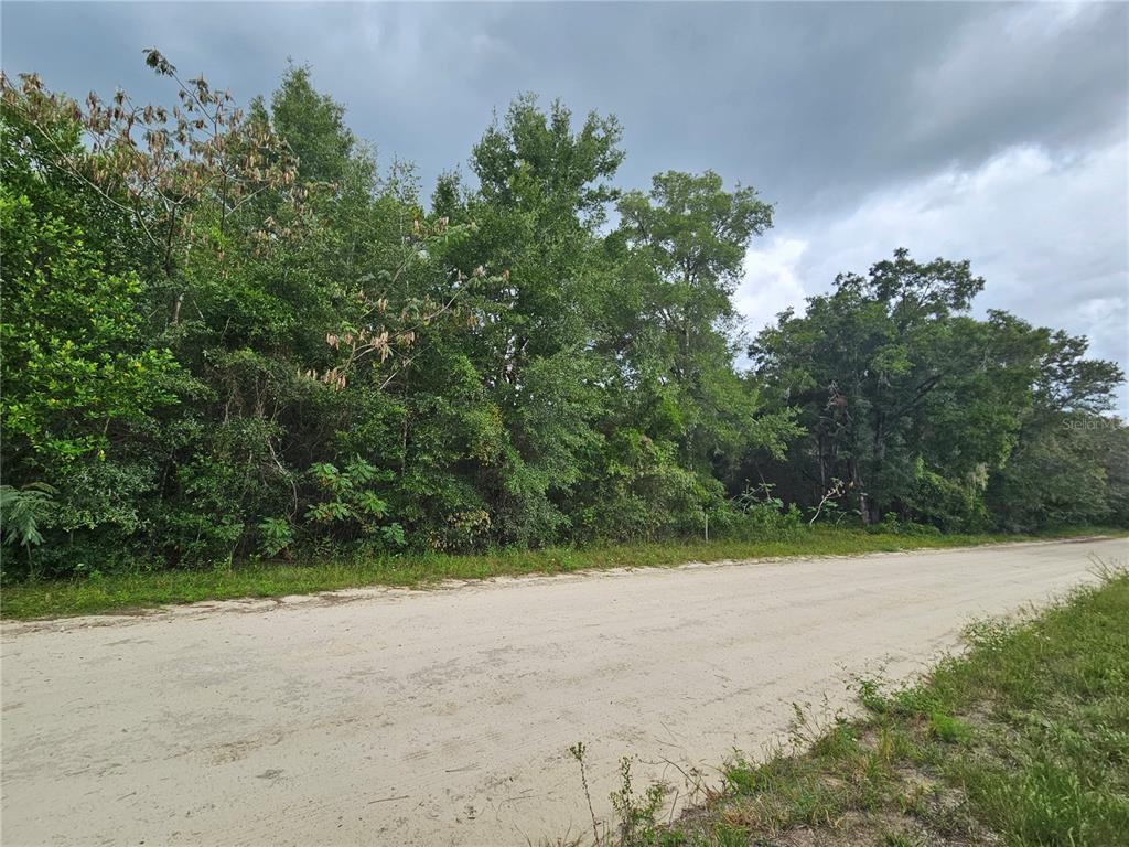 0000 NE 141ST AVENUE, WILLISTON, FL — photo 4 of 6