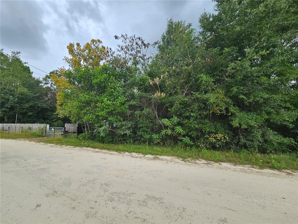 0000 NE 141ST AVENUE, WILLISTON, FL — photo 5 of 6