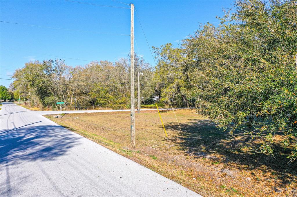 A vacant, grassy corner lot sits beside a paved road with a utility pole — CENTRAL AVENUE, MULBERRY, FL