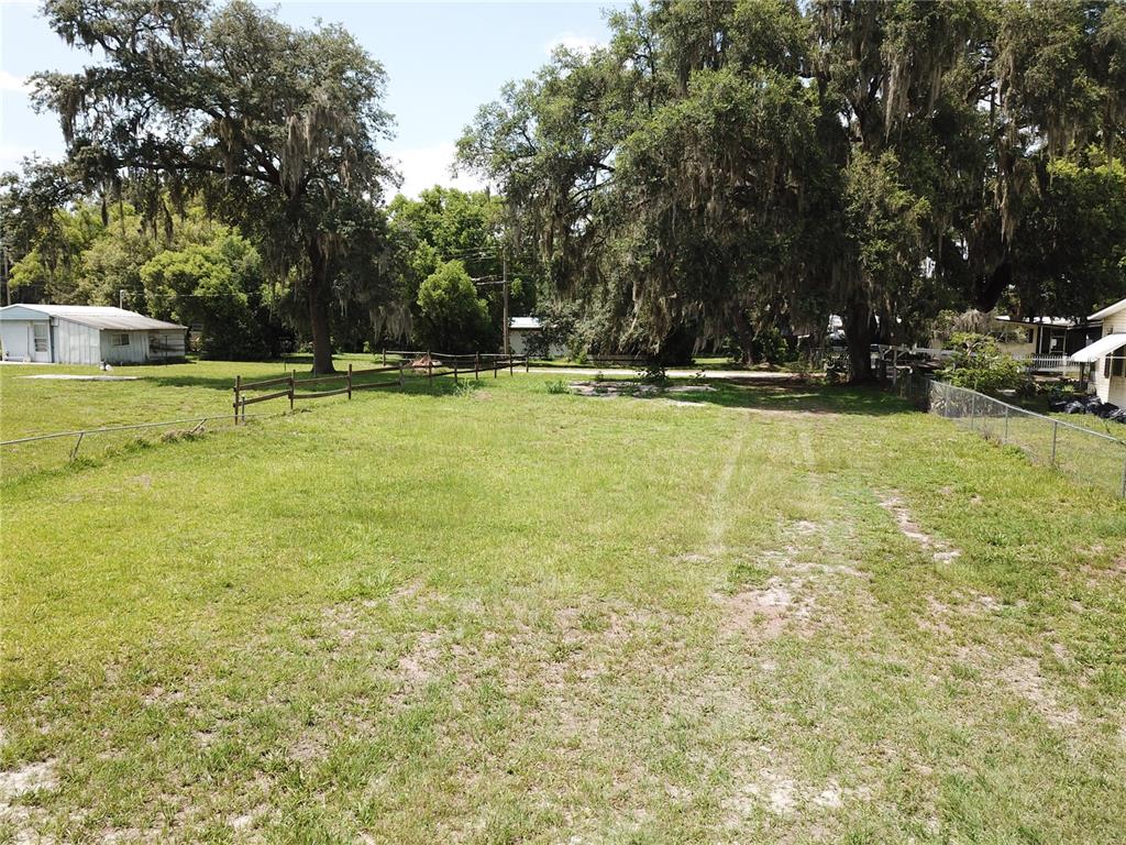A grassy, fenced-in residential lot features several large, moss-draped oak trees and nearby houses — 36749 JUDEE DRIVE, ZEPHYRHILLS, FL