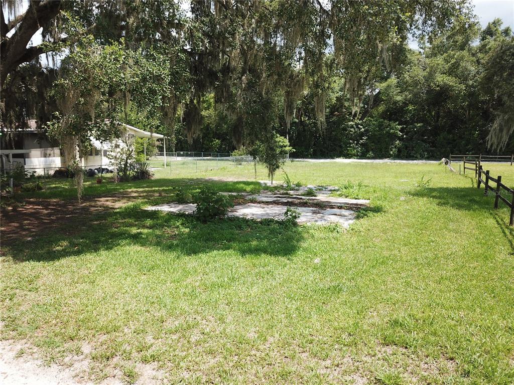 A grassy backyard features a concrete slab, mature trees with Spanish moss, and a fence — 36749 JUDEE DRIVE, ZEPHYRHILLS, FL
