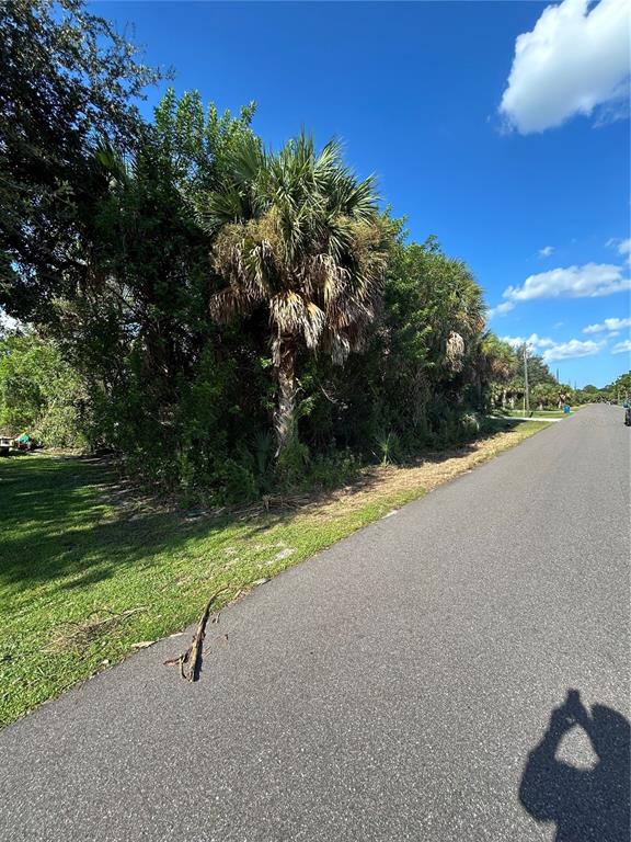 A paved road runs alongside a grassy lot filled with dense trees and palm trees — 171 LAGOON STREET SW, PALM BAY, FL