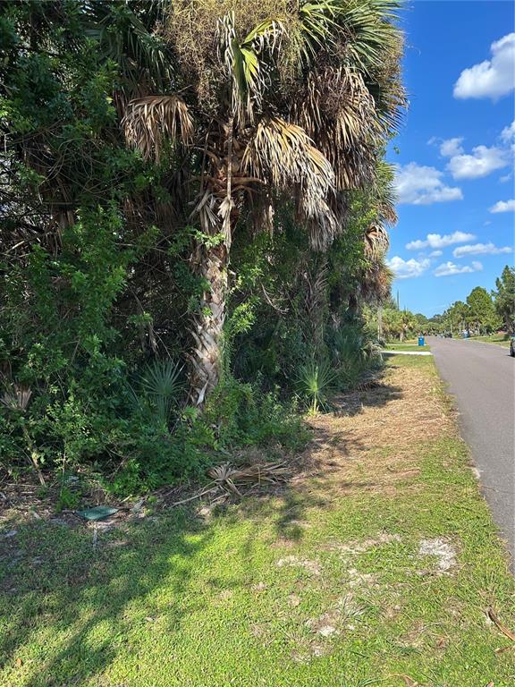 A paved road runs alongside a grassy area with dense trees and palm trees — 171 LAGOON STREET SW, PALM BAY, FL
