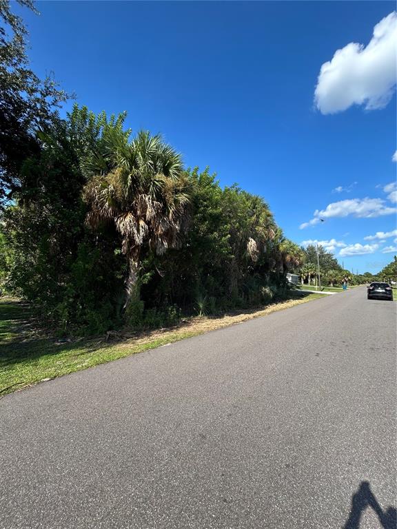 A paved road runs alongside a wooded lot featuring several tall palm trees — 171 LAGOON STREET SW, PALM BAY, FL