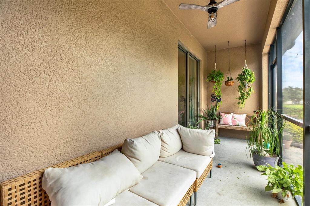 A screened-in patio features a wicker sofa, hanging plants, a wooden bench, and a ceiling fan — 8538 REEDVILLE STREET, NEW PORT RICHEY, FL