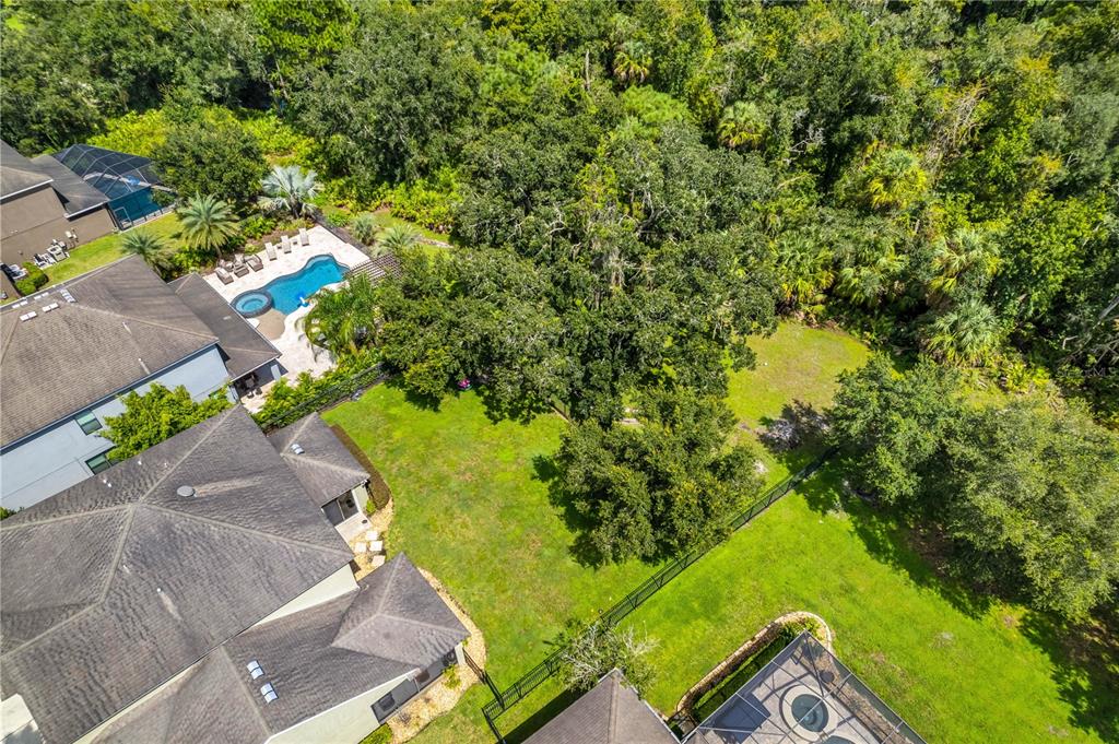 7931 HAMPTON LAKE DRIVE, TAMPA, FL — photo 3 of 30