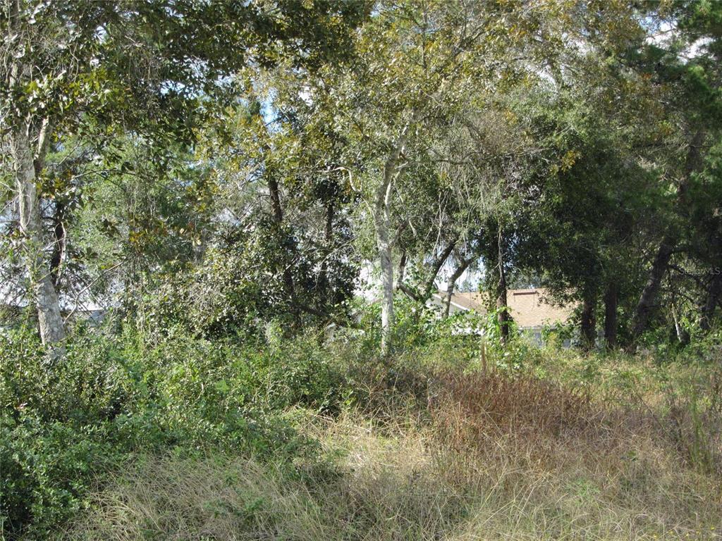 A view of a wooded, overgrown lot with a house visible in the background — 1688 CATALINA BLVD, DELTONA, FL