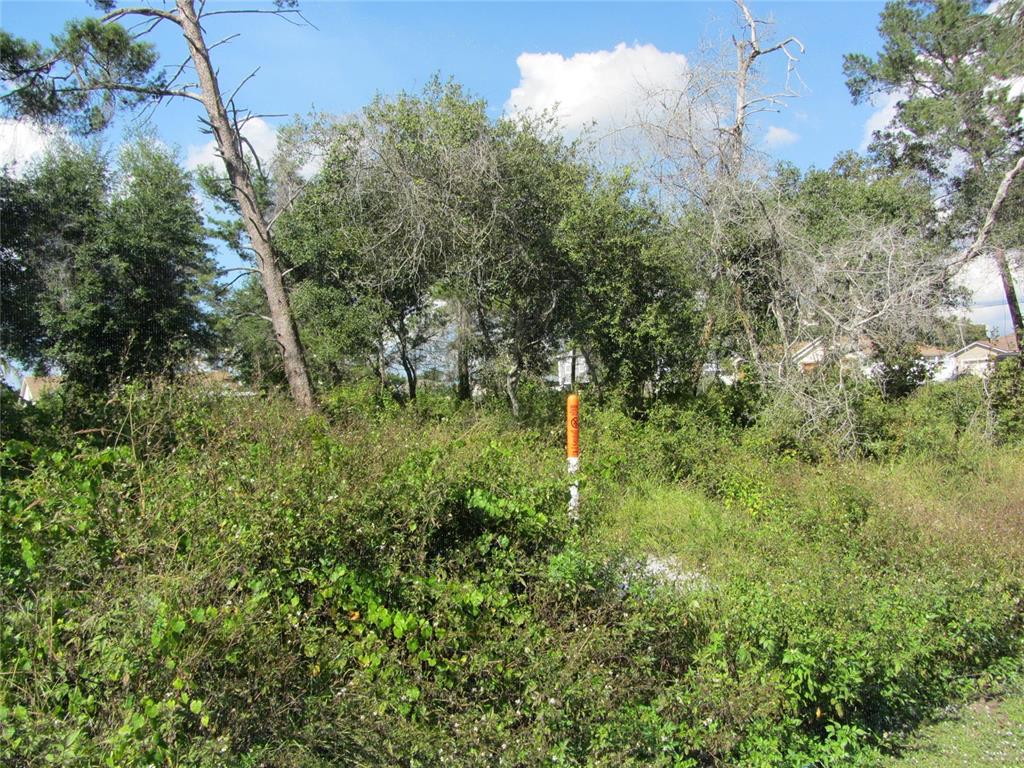 An overgrown, wooded vacant lot features a bright orange survey marker in the center — 1688 CATALINA BLVD, DELTONA, FL