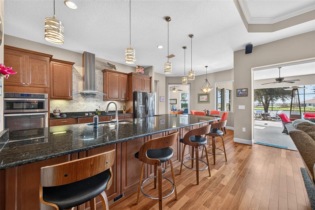 2444 PAWTUCKET PASS, MOUNT DORA, FL — photo 3 of 88