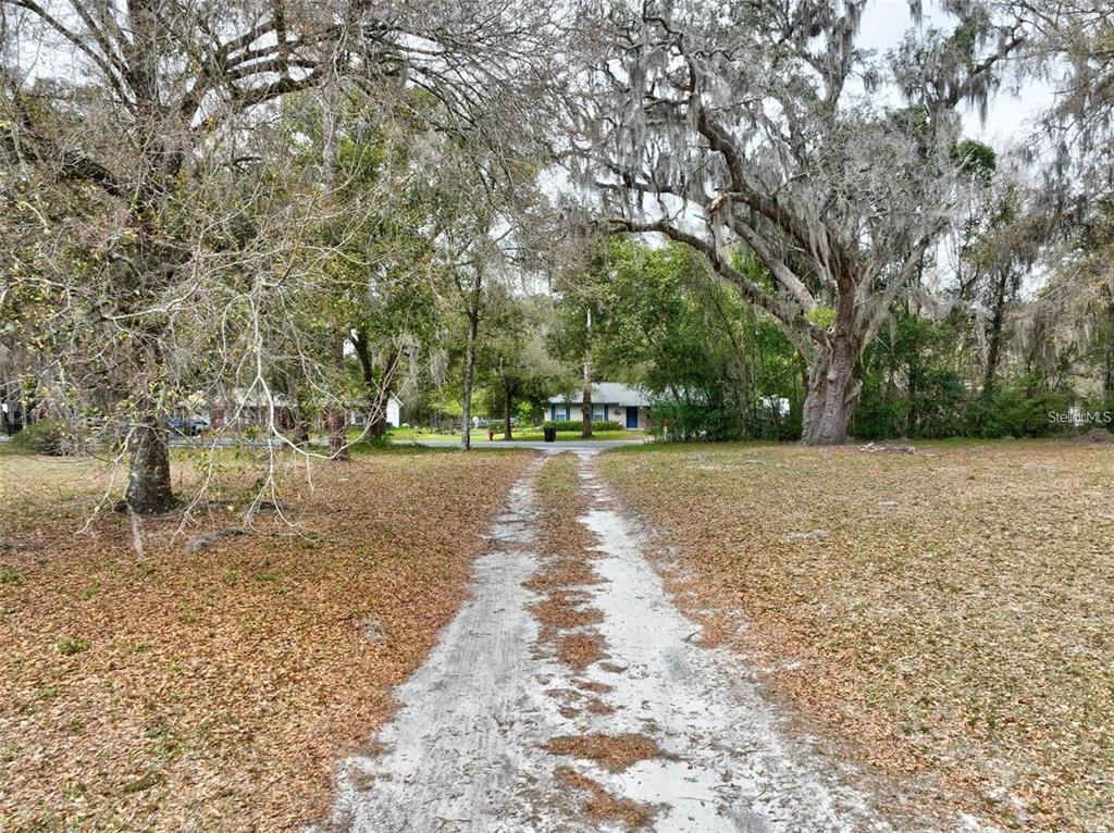 A dirt driveway leads through a wooded lot toward a house in the distance — 420 N COURT STREET, BRONSON, FL